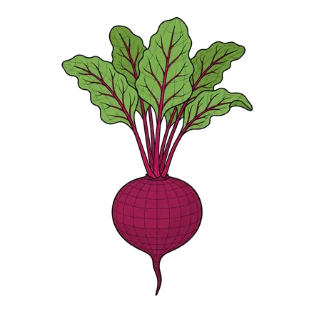 Technical ingredient study representing beet juice color